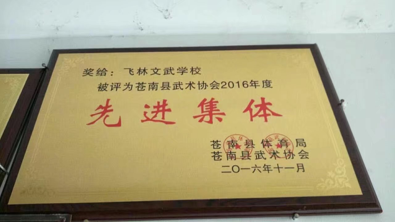 2016县级先进集体